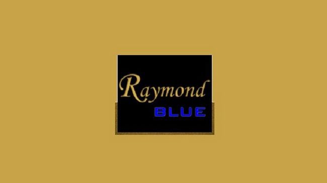 Raymond Blue Hotel Istanbul